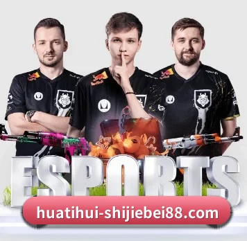 AI 革新（HTH Sports）