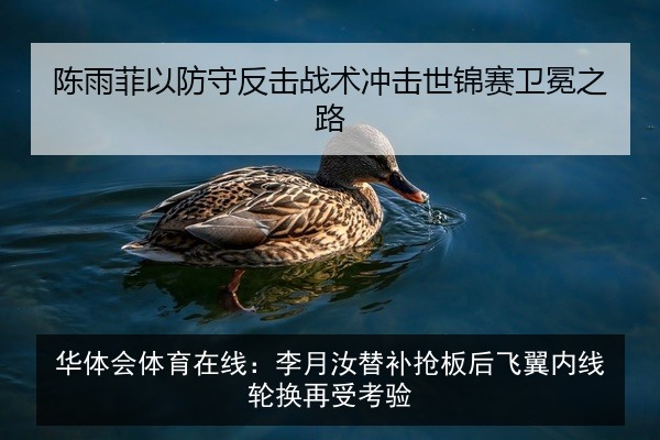 华体会体育在线:李月汝替补抢板后飞翼内线轮换再受考验