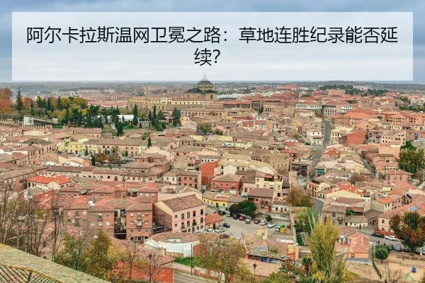 a-er-ka-la-si-wen-wang-wei-mian-zhi-lu-cao-di-lian-sheng-ji-lu-neng-fou-yan-xu-3-460.jpg