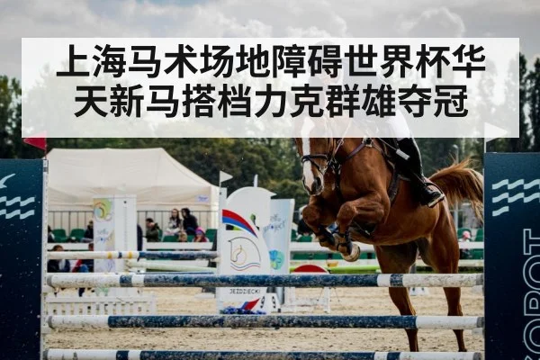 上海马术场地障碍世界杯华天新马搭档力克群雄夺冠