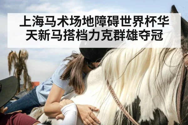 horse rider trust